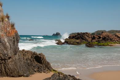 Sandee Narooma Beach Photo