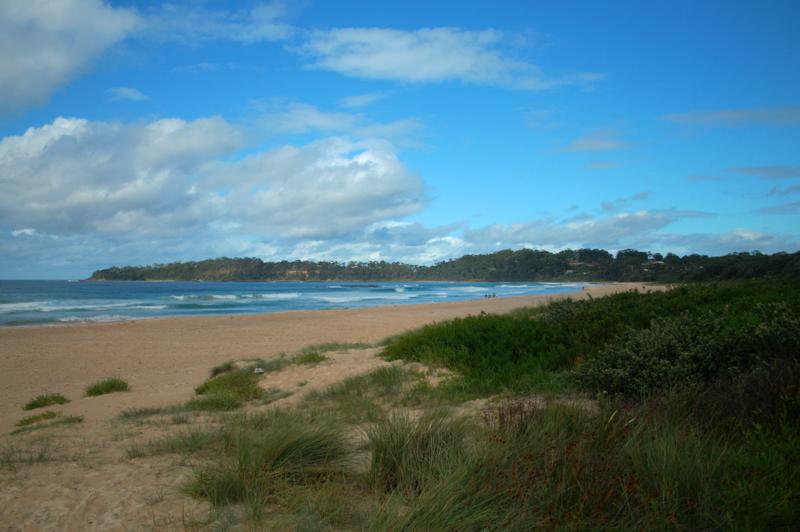 Sandee - HomePage / Narrawallee