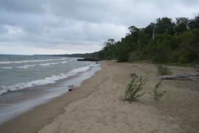 Sandee Newell Beach