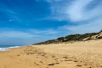 Sandee Ninety Mile Beach Photo