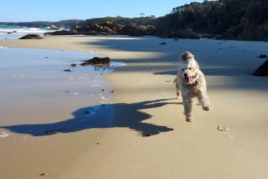 Sandee Quarantine Bay