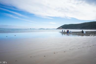 Sandee Norman Beach