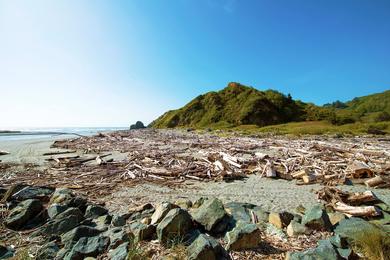 Sandee - Orick Fishing Access Beach