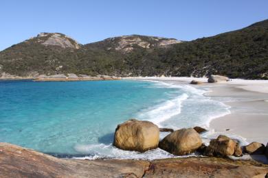Sandee Whalers Beach