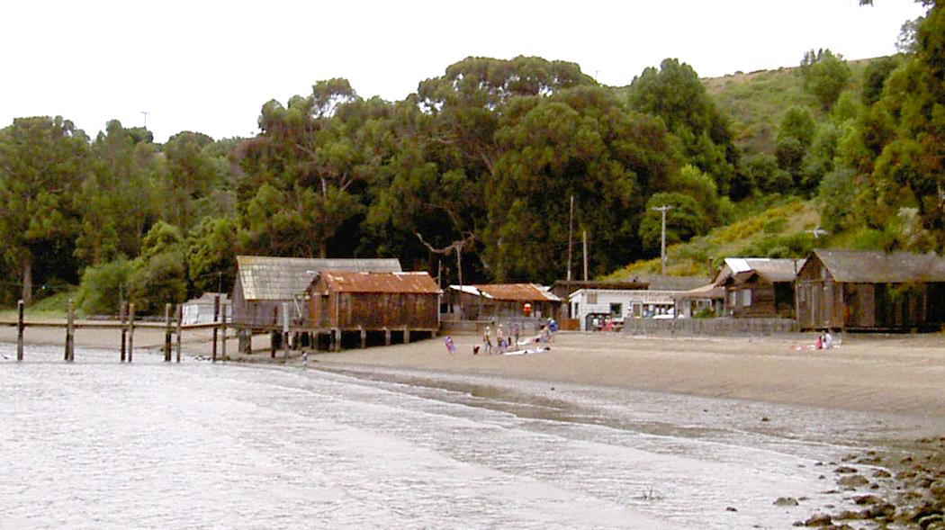 Sandee China Camp Beach Photo