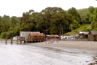 Sandee - China Camp Beach