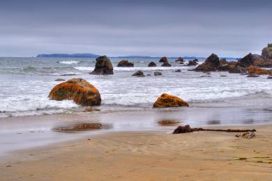 Sandee Dillon Beach Photo