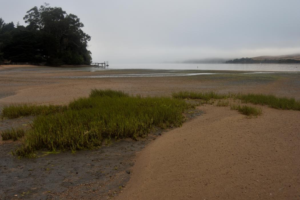 Sandee Chicken Ranch Beach Photo