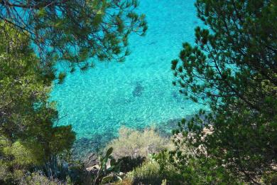 Sandee Spiaggia Di Fetovaia Photo