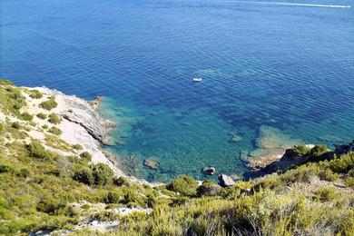 Sandee - Spiaggia Di Fetovaia