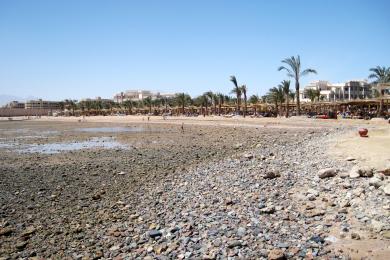 Sandee Albatros Palace