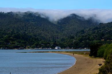 Sandee Alan Sieroty Beach Photo