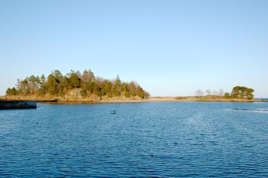 Sandee Crowninshield Island