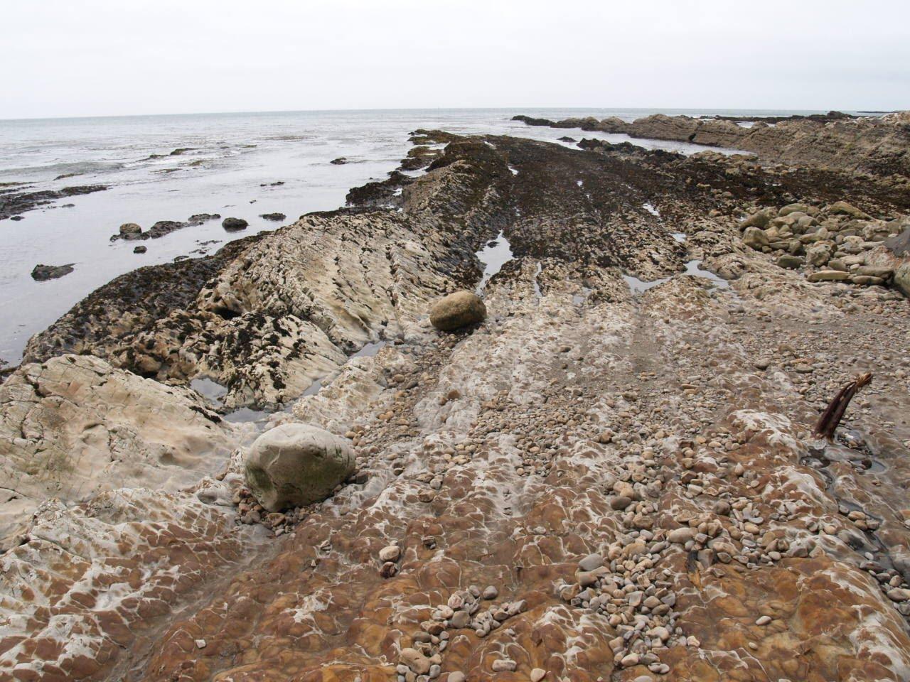 Sandee - Arena Cove Beach