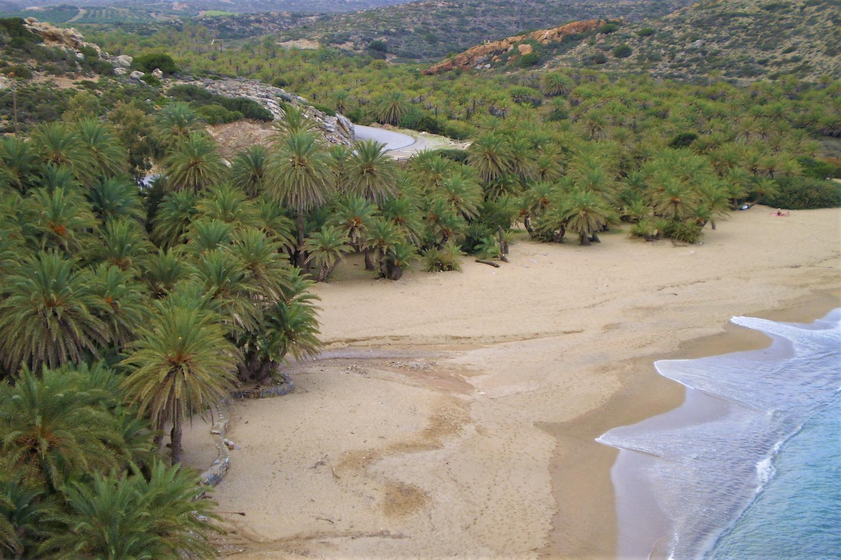 Sandee - Vai Palmgrove