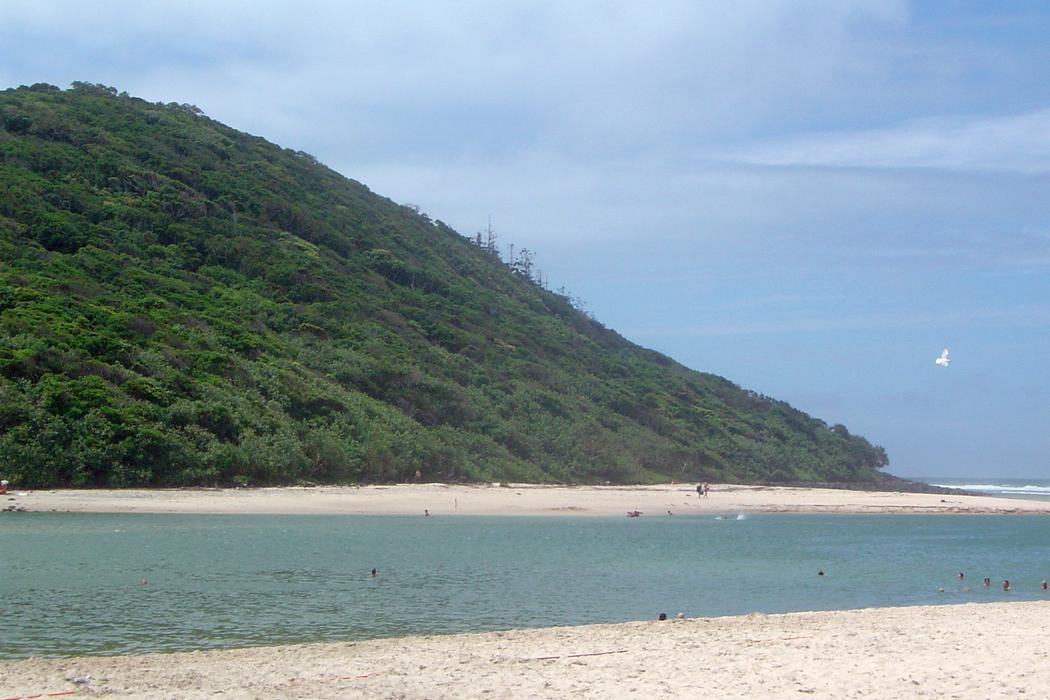 Sandee Tallebudgera Beach