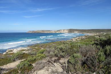 Sandee Pennington Bay