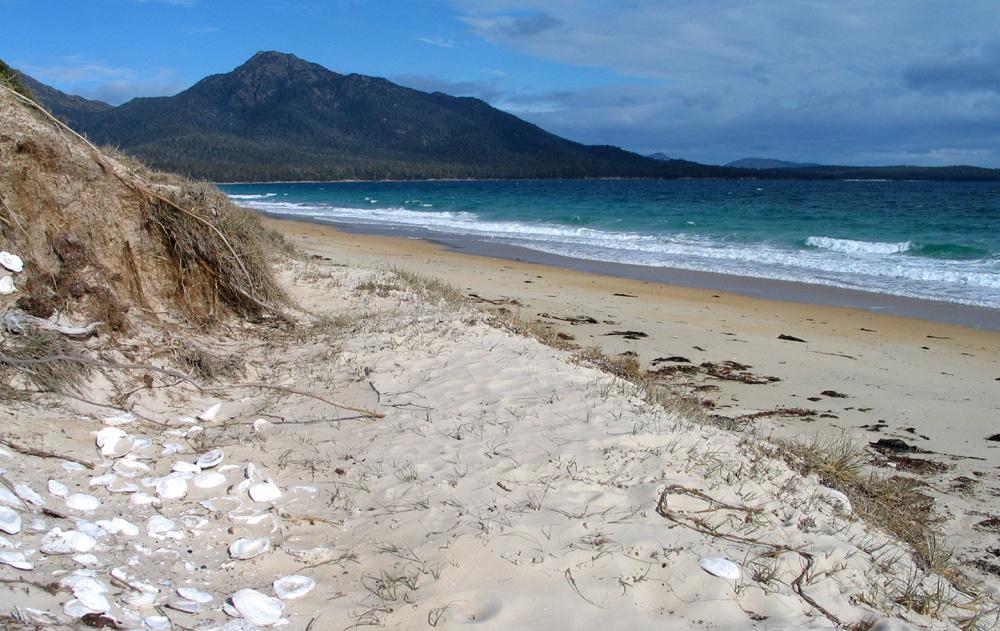 Sandee - Hazards Beach