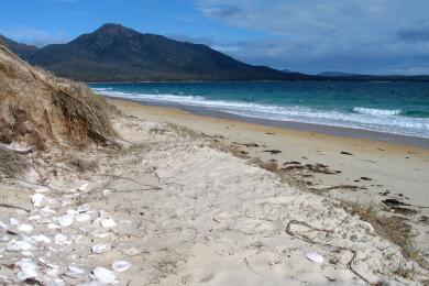 Sandee Hazards Beach Photo