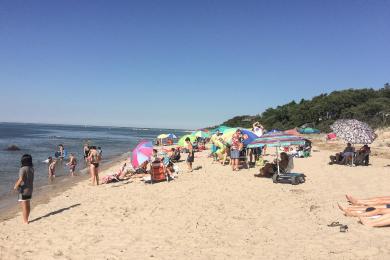 Sandee Breakwater Beach Photo