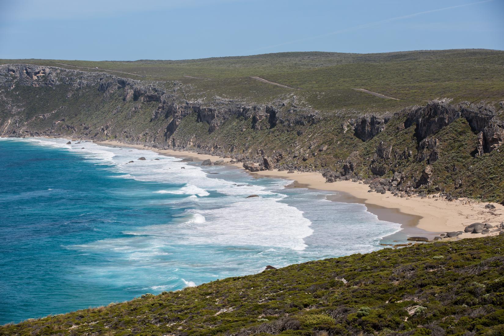 Sandee - HomePage / Seal Bay