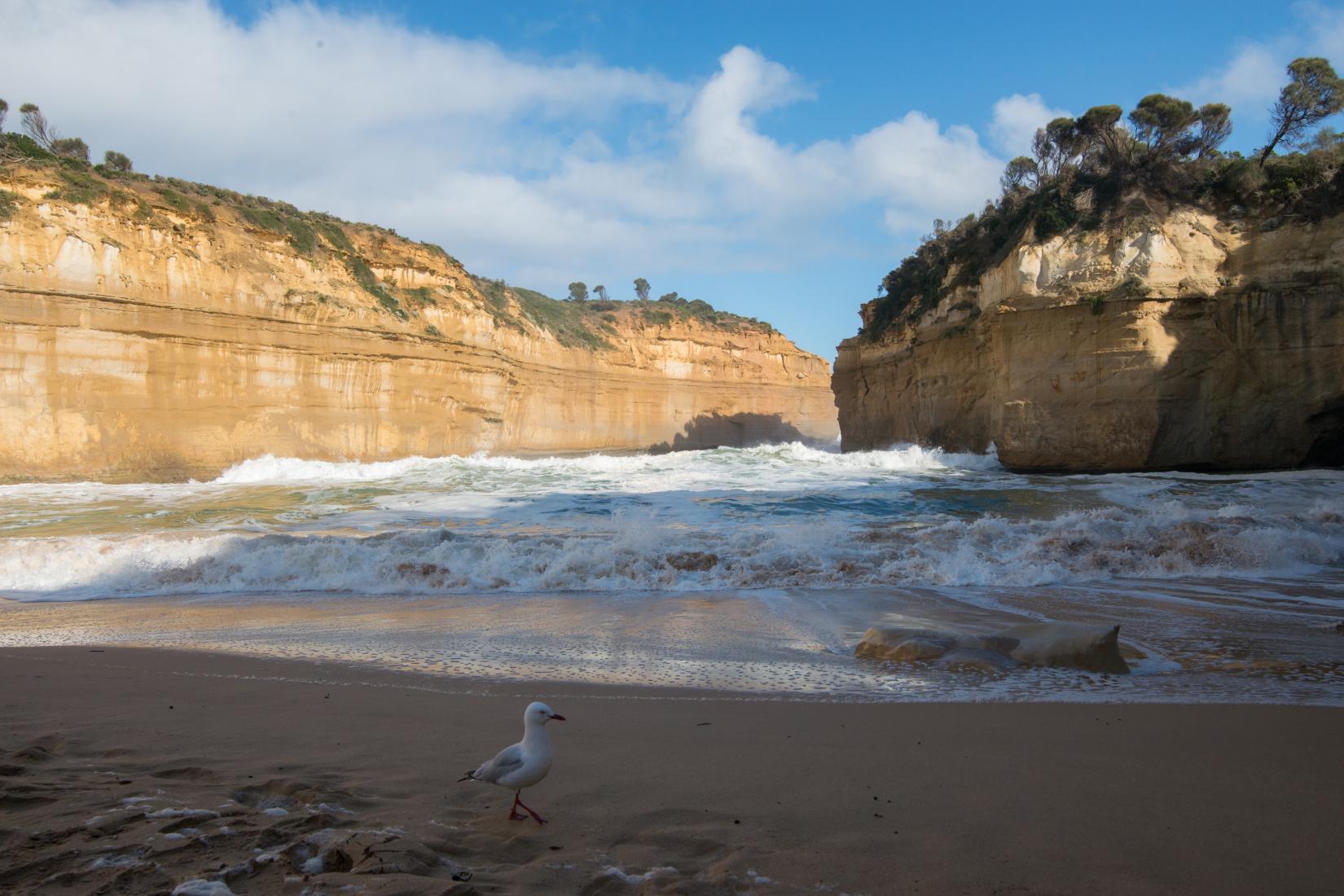 Sandee - Loch Ard Gorge