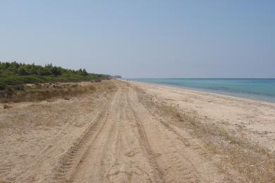 Sandee - Sani Beach