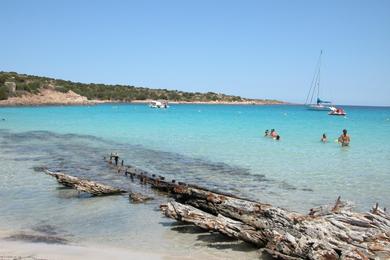 Sandee Spiaggia Del Relitto Photo