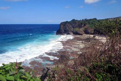 Sandee Dolly Beach Photo