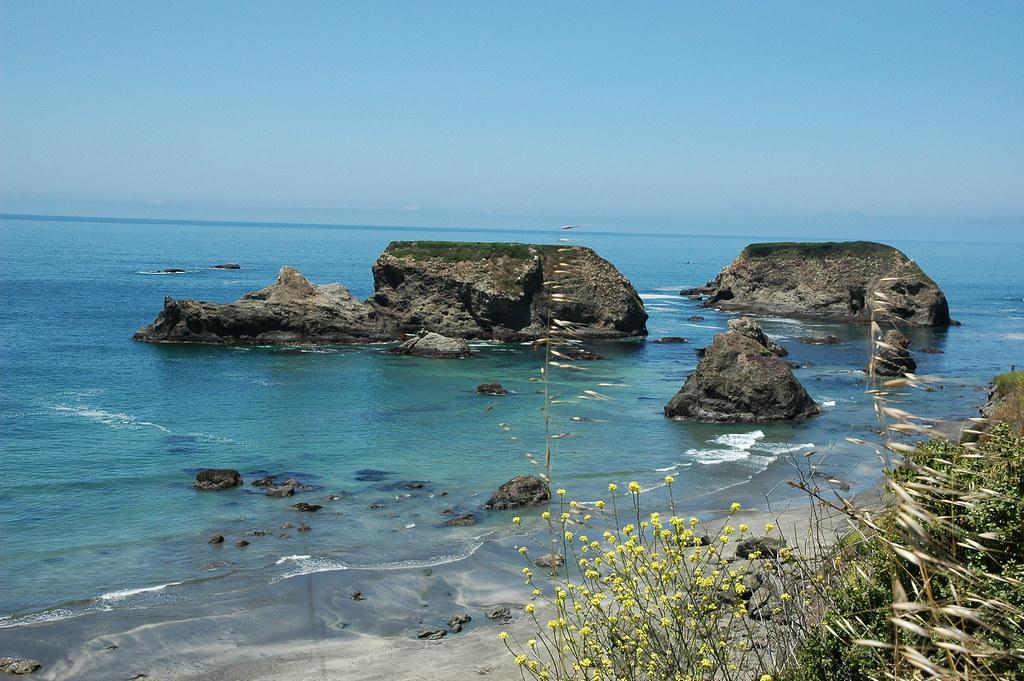 Sandee - HomePage / Fort Bragg