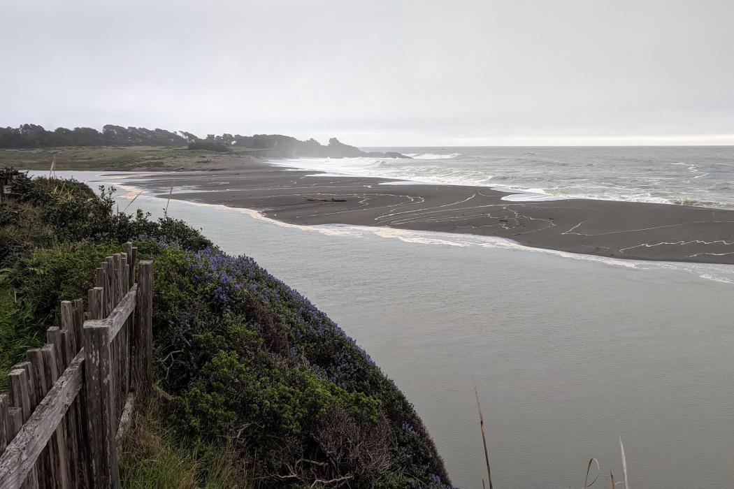 Sandee Gualala River Beach Photo