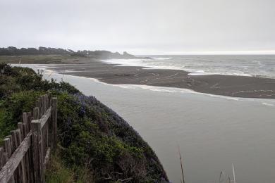 Sandee Gualala River Beach