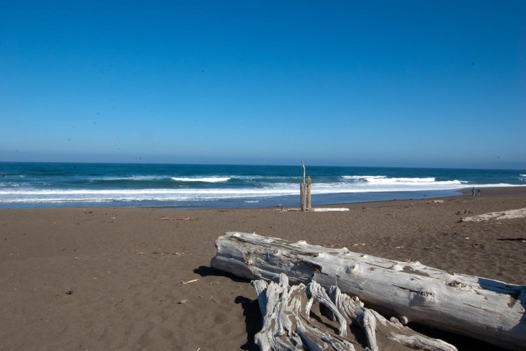 Sandee Manchester State Beach