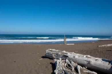 Sandee Manchester State Beach Photo