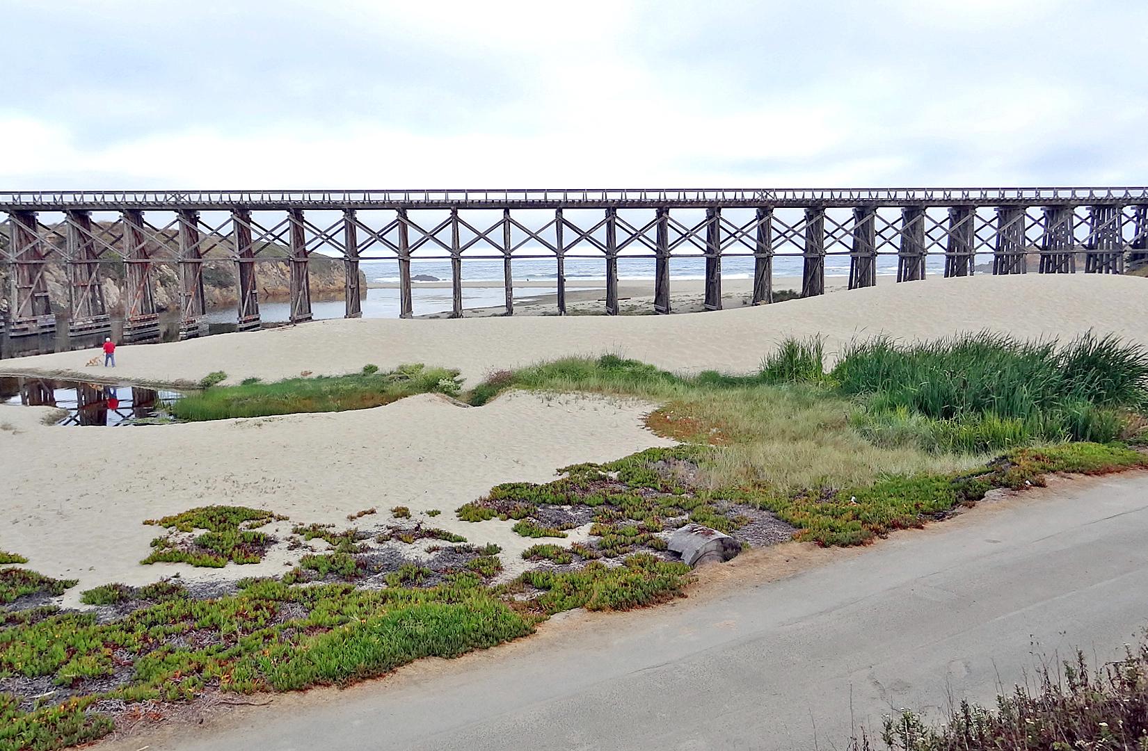 Sandee - Pudding Creek Beach