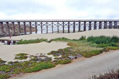 Sandee Pudding Creek Beach Photo