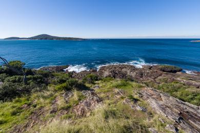 Sandee Shark Island Photo