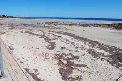 Sandee Moonta Bay
