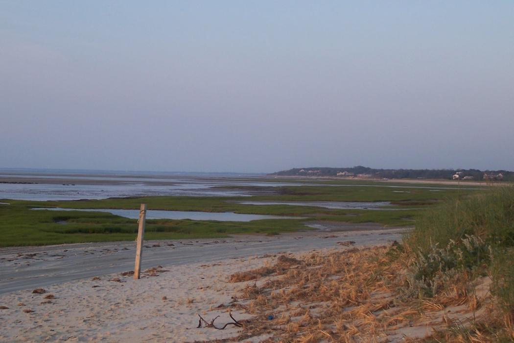Sandee Crowes Pasture