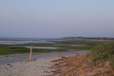 Sandee Crowes Pasture