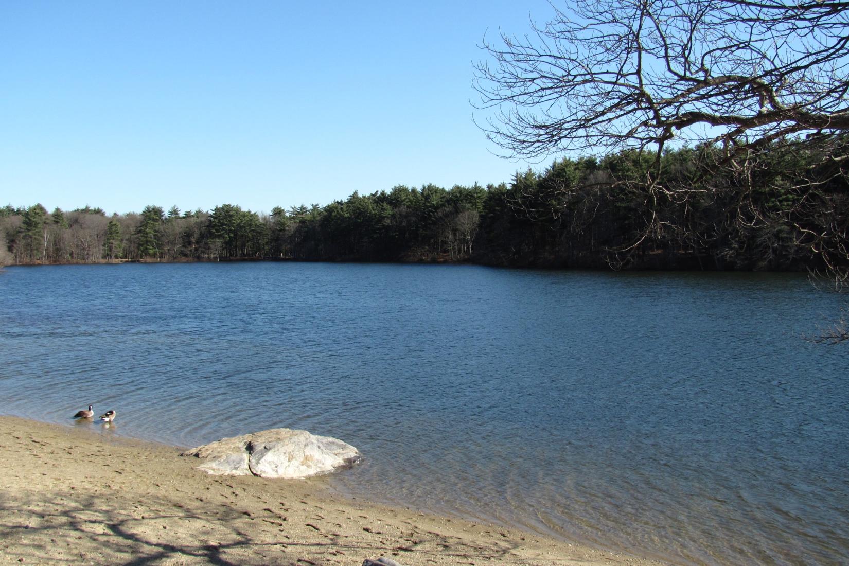 Sandee - Houghton's Pond