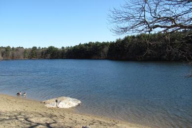 Sandee Houghton's Pond