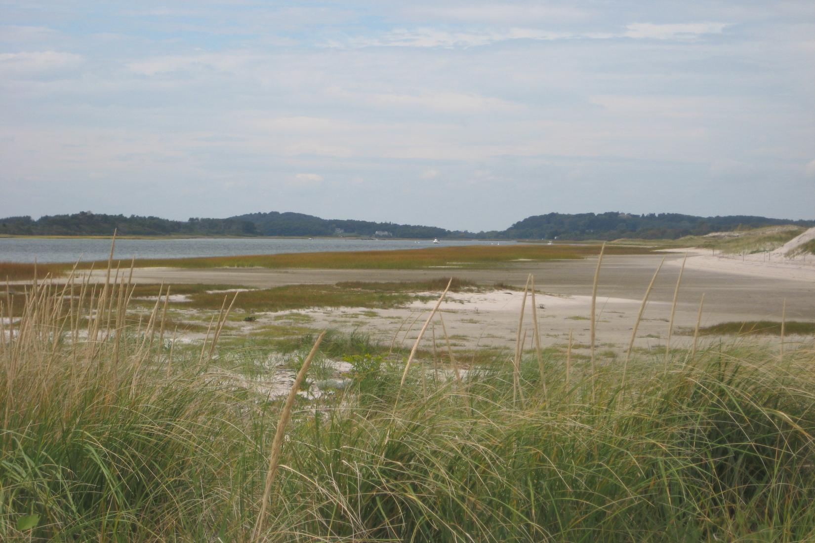 Sandee - Crane Beach