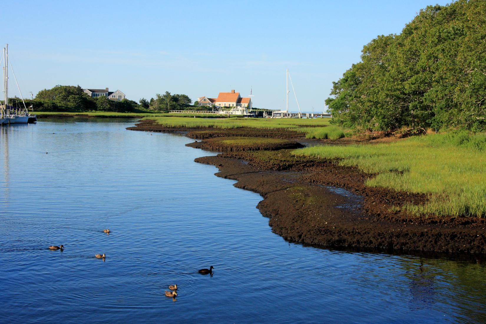 Sandee - HomePage / Wareham