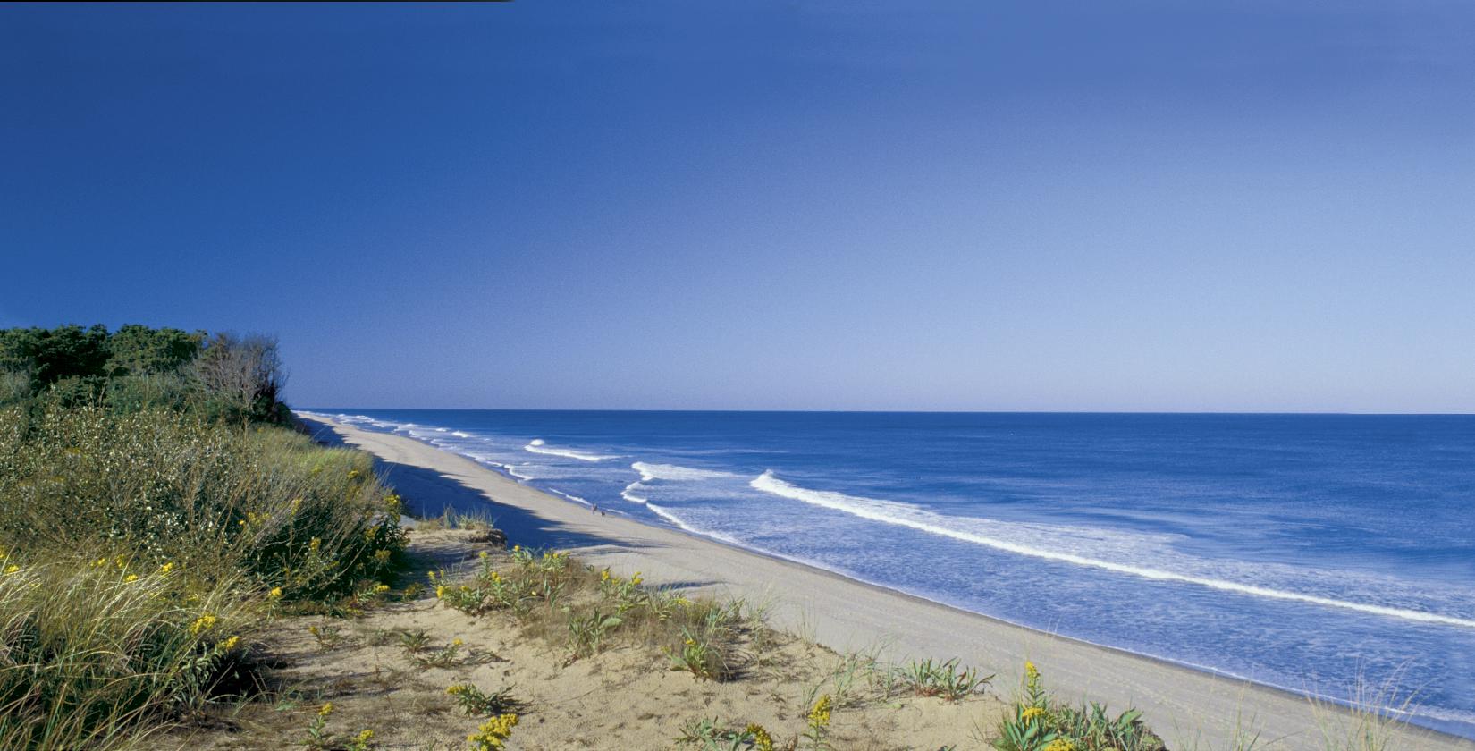 Sandee - Coast Guard Beach