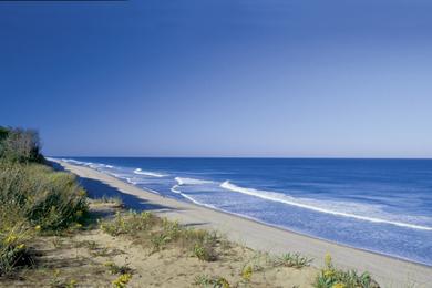 Sandee - Coast Guard Beach