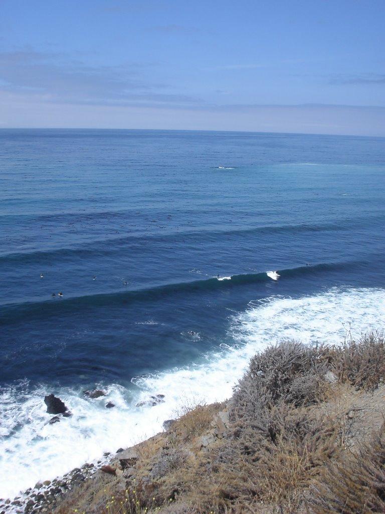 Sandee - Andrew Molera State Park