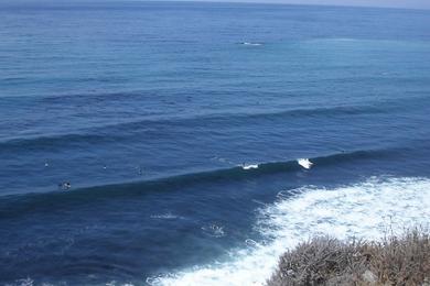 Sandee - Andrew Molera State Park