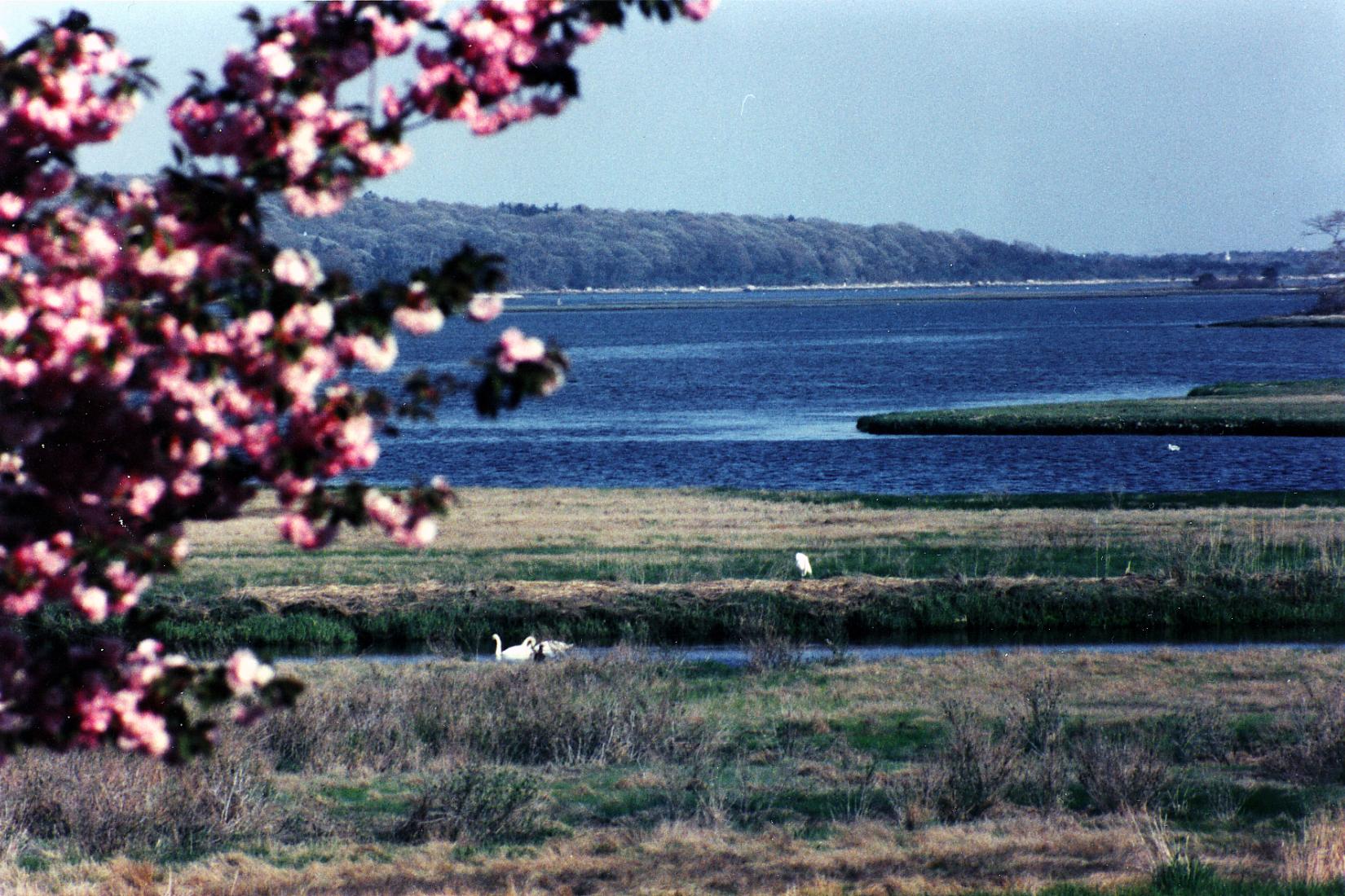 Sandee - East Beach