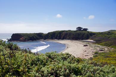 Sandee - Andrew Molera State Park